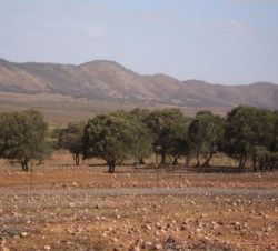 function.array-key-exists - 6  Tage Alice Springs - Adelaide